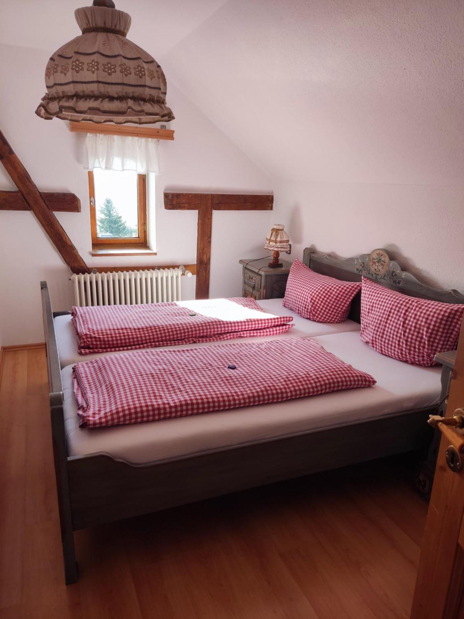 Berggasthaus & Pension Schoene Aussicht Klingenthal Zewnętrze zdjęcie